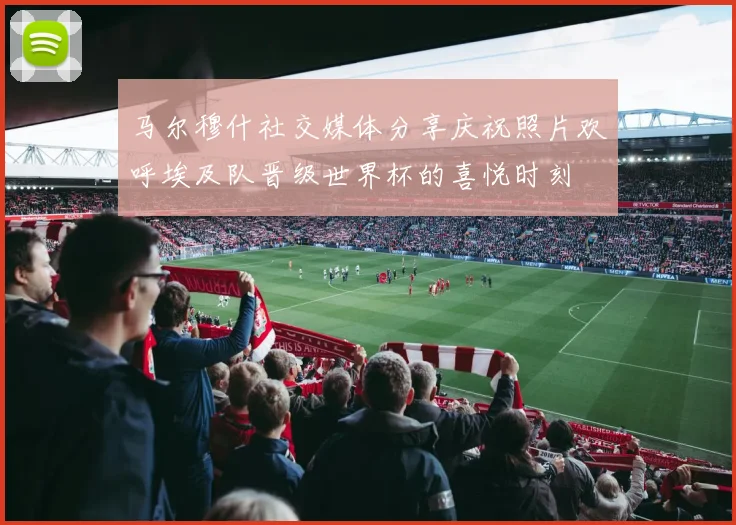 马尔穆什社交媒体分享庆祝照片欢呼埃及队晋级世界杯的喜悦时刻