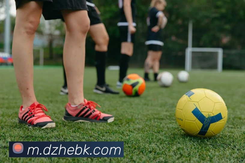 乐竞体育平台生态图